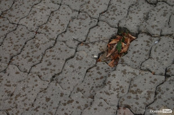 У центрі Луцька «просіла» бруківка. ФОТО