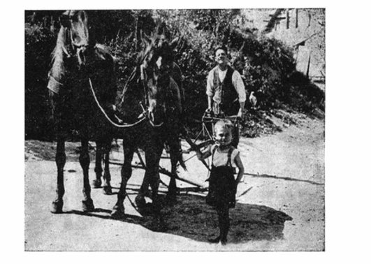 Мешканці Торговиці, міжвоєнний період.