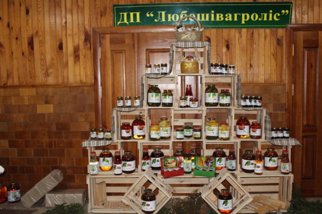 Дари лісу  і «тепло» в брикетах: показали, як успішно працює волинське підприємство. ФОТО