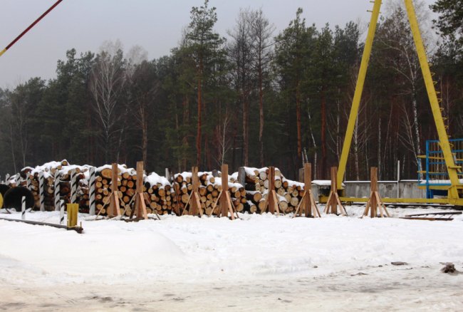 Дари лісу  і «тепло» в брикетах: показали, як успішно працює волинське підприємство. ФОТО