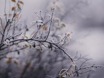 Сильні заморозки до мінус 5°:  синоптики прогнозують холод  у найближчі дві ночі