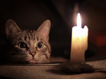 Де у Луцьку не буде світла завтра, 15 грудня