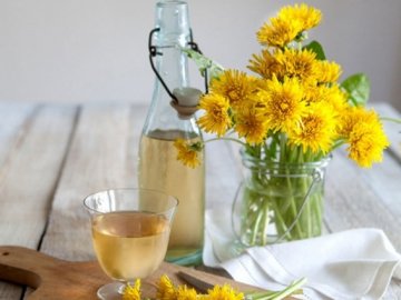 Волинянка, що робить кульбабове вино, розкрила декілька секретів приготування напою 