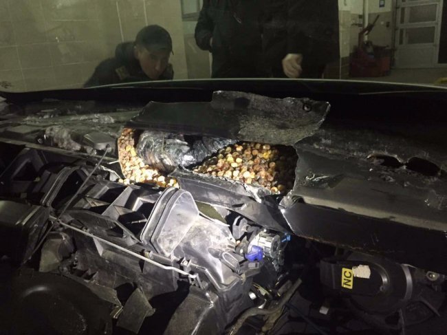 Волиняни намагалися вивезти в Польщу бурштин