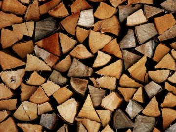 Волинські лісгоспи продають дрова в державному інтернет-магазині