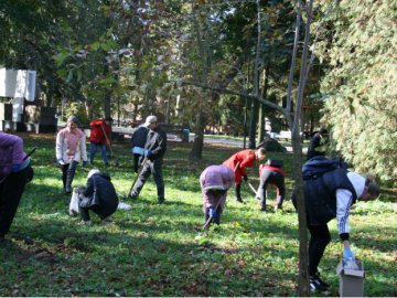 У Луцьку в парку висадили «кольоровий килим»  з первоцвітів