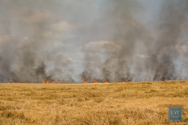 Маштабна пожежа у Іваничівському районі. ФОТО