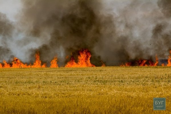 Маштабна пожежа у Іваничівському районі. ФОТО