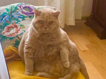 В Україні значно потеплішає: холод з 19 травня відступить