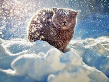 Погода у Луцьку на завтра, 13 грудня