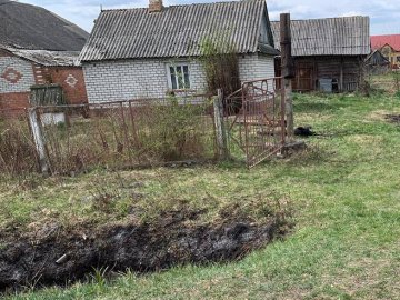 Через спалювання сухої трави частина вулиці села на Волині залишилась без світла. ФОТО