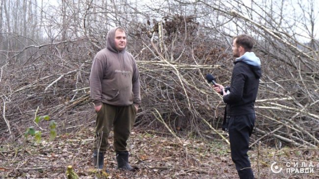 Десятки мільйонів збитків: на Волині п'ятий рік незаконно вирубують ліс у нацпарку