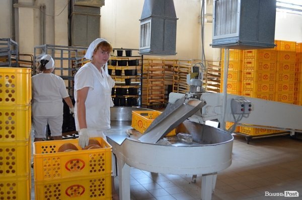 У Луцьку показали, як печуть хліб. ФОТО