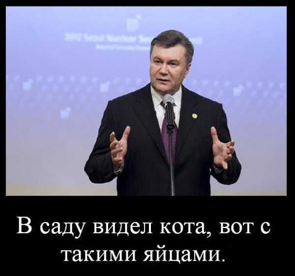 Бабуся і кіт: фотожабоманія триває. ФОТО