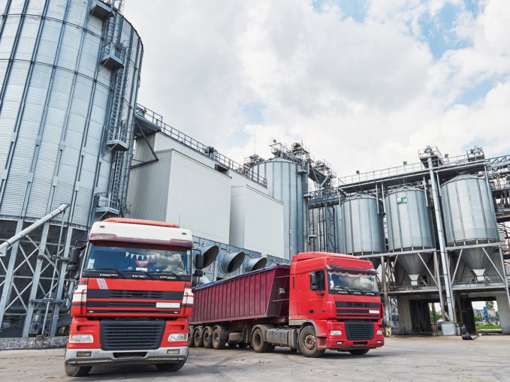 Перевезення зерна з EA Logistic: швидко, надійно, професійно