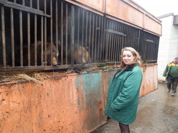 Ведмедів з пересувного звіринця на Рівненщині прихистив «Луцький зоопарк». ФОТО