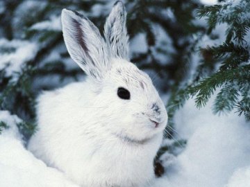 Погода у Луцьку та Волинській області на завтра, 17 лютого