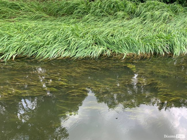 Розчищення Стиру: показали, на якому етапі роботи. ФОТО