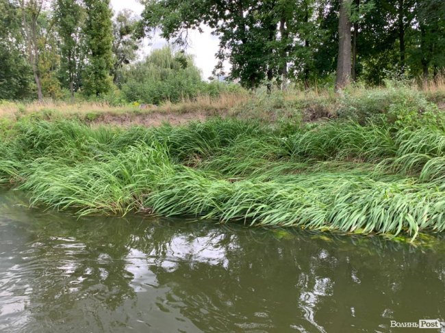 Розчищення Стиру: показали, на якому етапі роботи. ФОТО