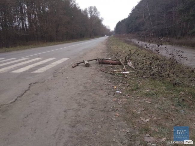 У Володимирі після протестів «євробляхарів»  – купи сміття. ФОТО