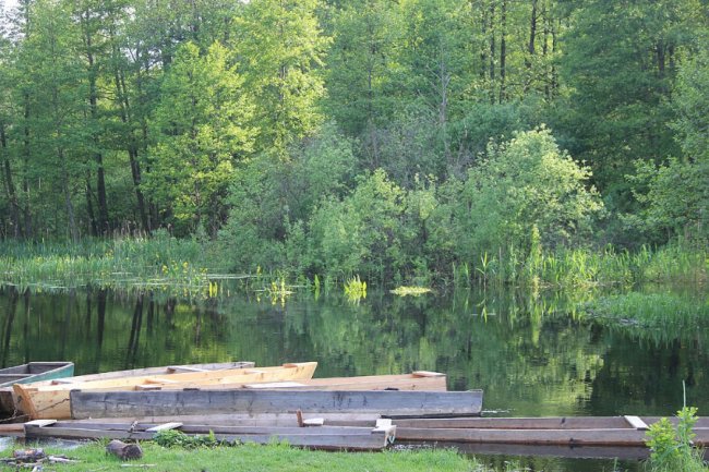 Волинський фотограф показав красу «високої води» річки Стохід. ФОТО