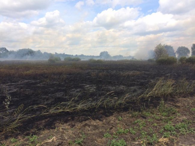 Через паліїв сміття на Волині вигоріло три гектари поля