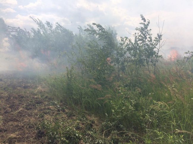 Через паліїв сміття на Волині вигоріло три гектари поля