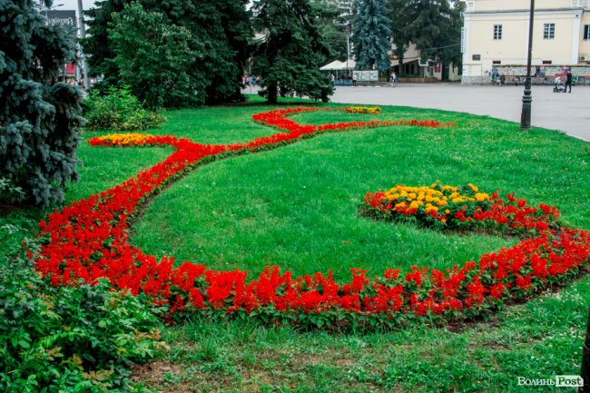 Барвиста краса: літній Луцьк потопає у квітах. ФОТО