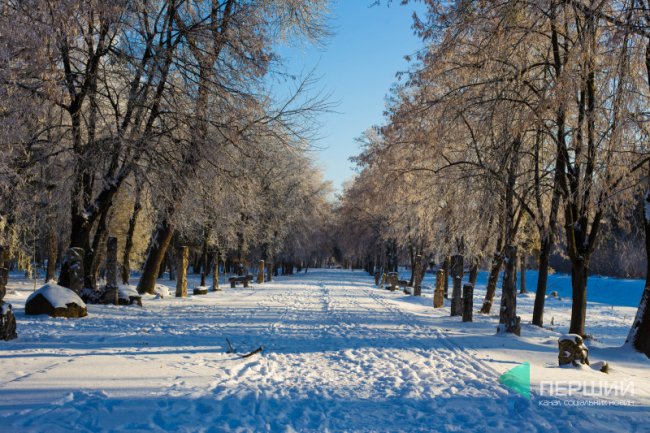 Мерехтливий сніг і кришталевий іній: Луцьк опинився у морозному полоні. ФОТО