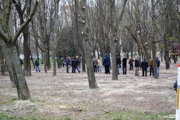 Толока в луцькому сквері закінчилася «пікетом» міського голови. ФОТО