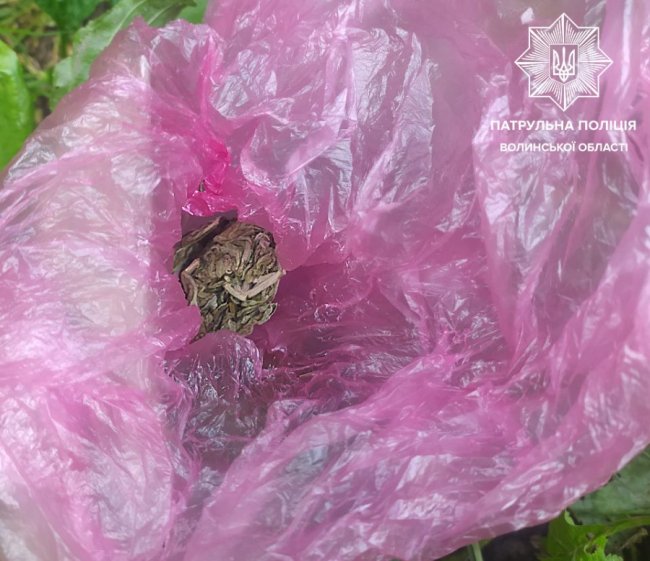 У Ковелі затримали двох чоловіків із наркотичними речовинами 