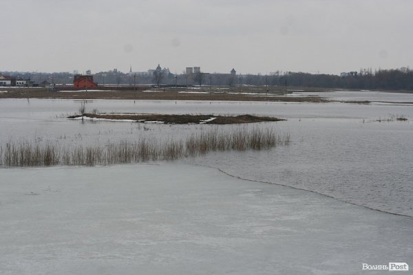 Затопило луг біля села Рованці. ФОТО