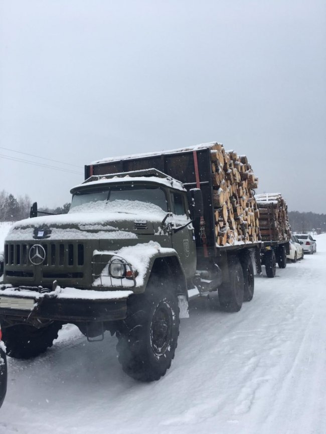 На Волині викрили злочинну групу, яка займалася незаконною порубкою лісу. ФОТО