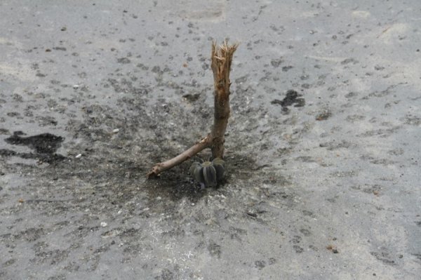 Спадщина слов'янських терористів. ФОТОРЕПОРТАЖ