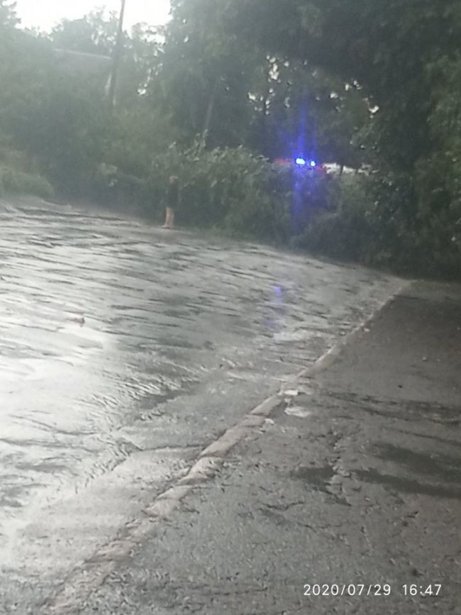 Алла Пушкарська