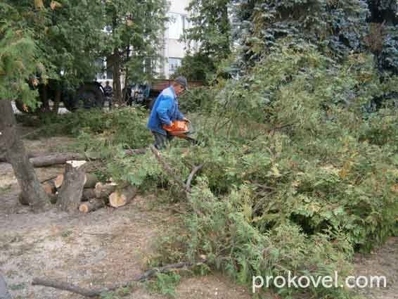 У Ковелі змінилося «обличчя» мерії. ФОТО