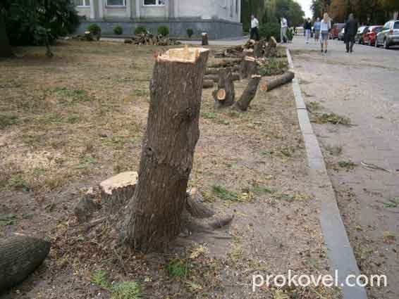 У Ковелі змінилося «обличчя» мерії. ФОТО