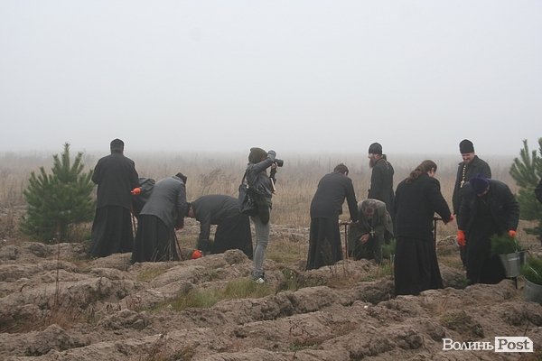 На Волині священики висадили понад 1025 сосен. ФОТО