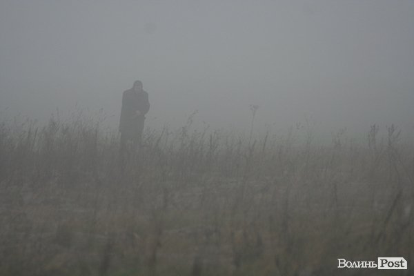 На Волині священики висадили понад 1025 сосен. ФОТО