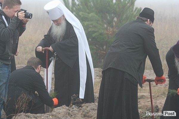 На Волині священики висадили понад 1025 сосен. ФОТО