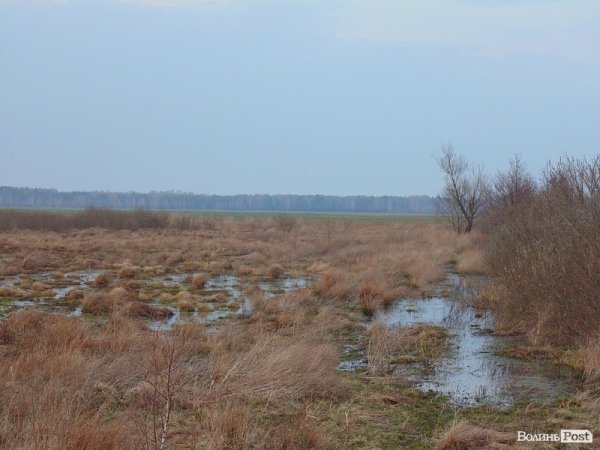 Як волинські революціонери патрулюють кордон. ФОТО