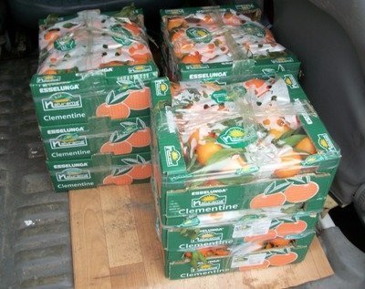 Тюремники передали допомогу бійцям із зони АТО. ФОТО