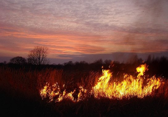 Фотовиставка Сергія Палька