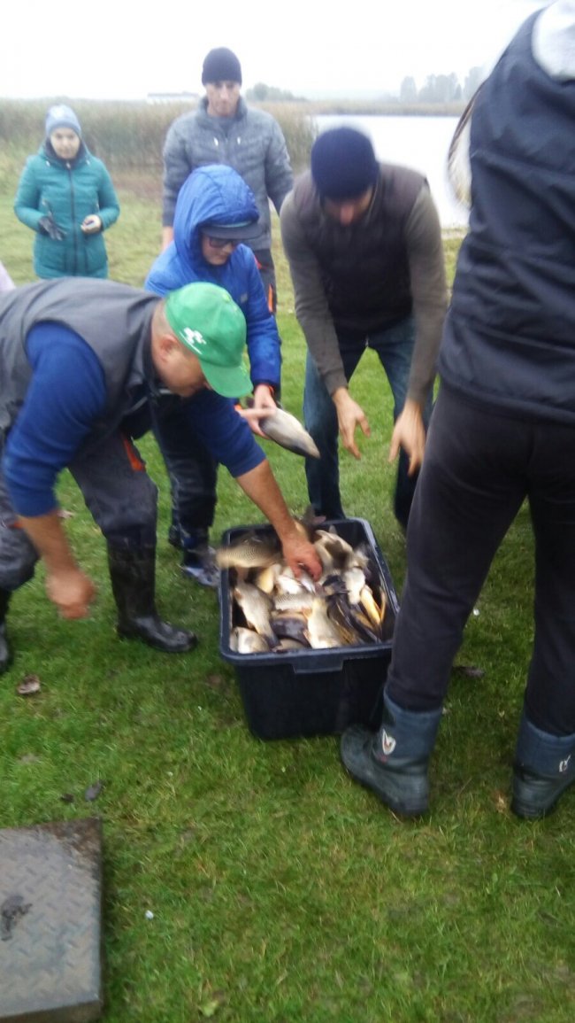 Небайдужі волиняни випустили у річку понад пів тонни риби. ФОТО