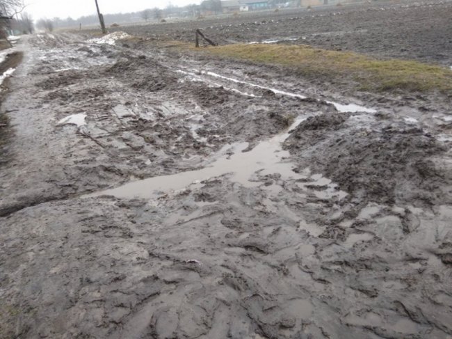 «Нанотехнології» перетворили вулицю на болото