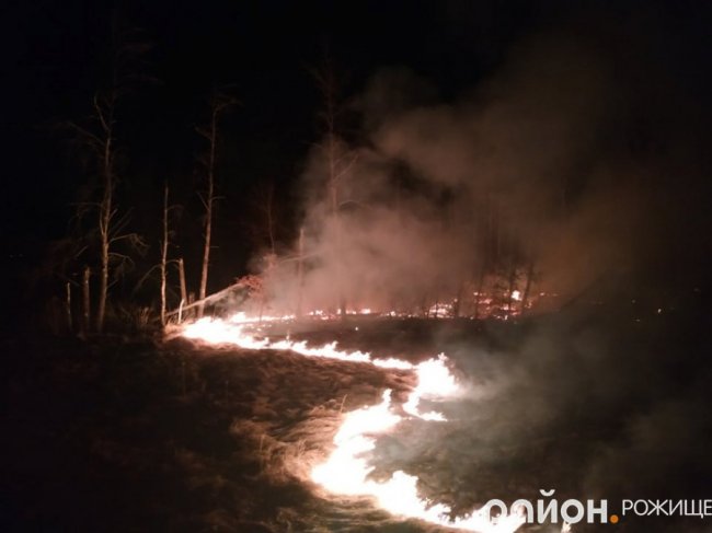 На Волині загорівся ліс. ФОТО