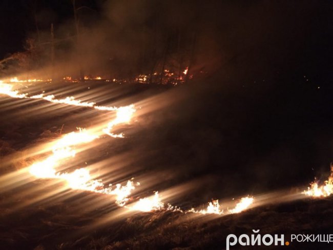 На Волині загорівся ліс. ФОТО