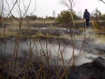 На Волині за добу ліквідували 7 пожеж у лісах