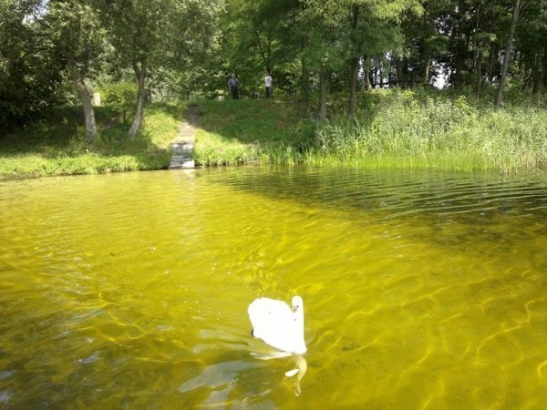 На Волині виявили унікальне городище. ФОТО