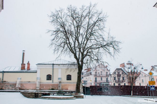 Засніжений Луцьк. ФОТОРЕПОРТАЖ